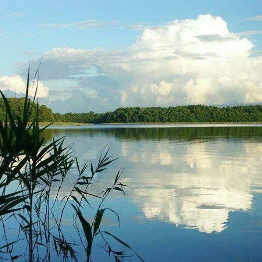 Agroturystyka Borowka Maly Dolsk Екстериор снимка