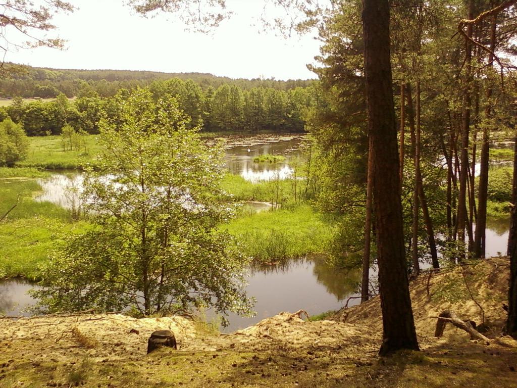 Agroturystyka Borowka Maly Dolsk Екстериор снимка